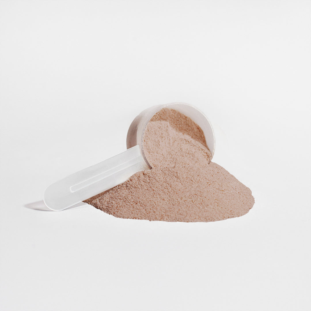 BAM FITennis Plant Protein (Chocolate)