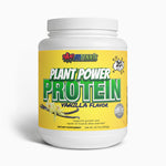 Load image into Gallery viewer, BAM FITennis Plant Protein (Vanilla)
