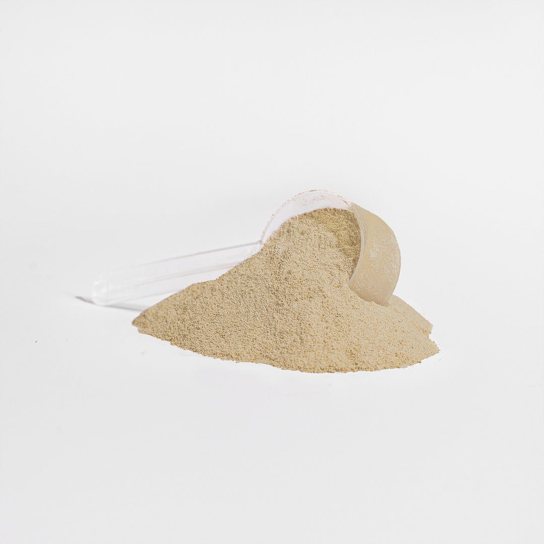 BAM FITennis Plant Protein (Vanilla)