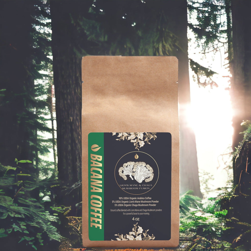 Mushroom Coffee Fusion - Lion’s Mane & Chaga 4oz