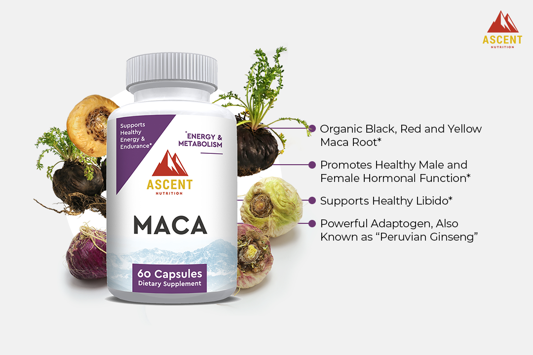 Ascent Nutrition Maca Benefits