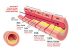 Load image into Gallery viewer, QardioMist™ Nitric Oxide Spray
