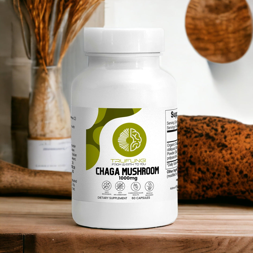 Chaga Mushroom